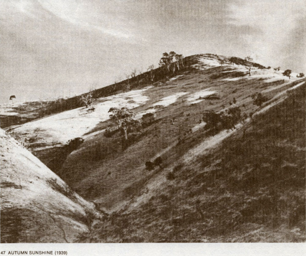 Cazneaux-Autumn-Sunshine